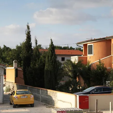 Vrsi - Mulo 5860c * ニン