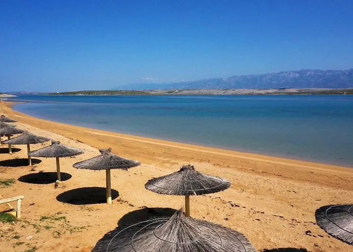 Vrsi - Mulo 5860c Nin